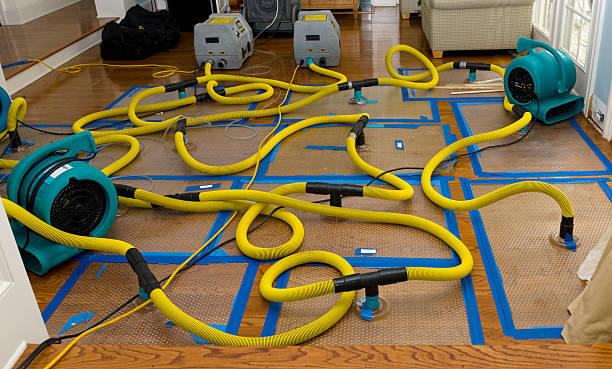 Professional Crawl Space Water Removal technician working in Columbiana, AL